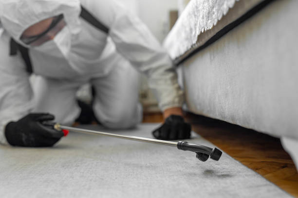 Professional Termite Control technician working in Trooper, PA