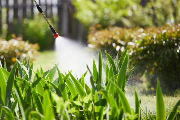 24/7 Emergency Termite Control experts in Trooper, PA
